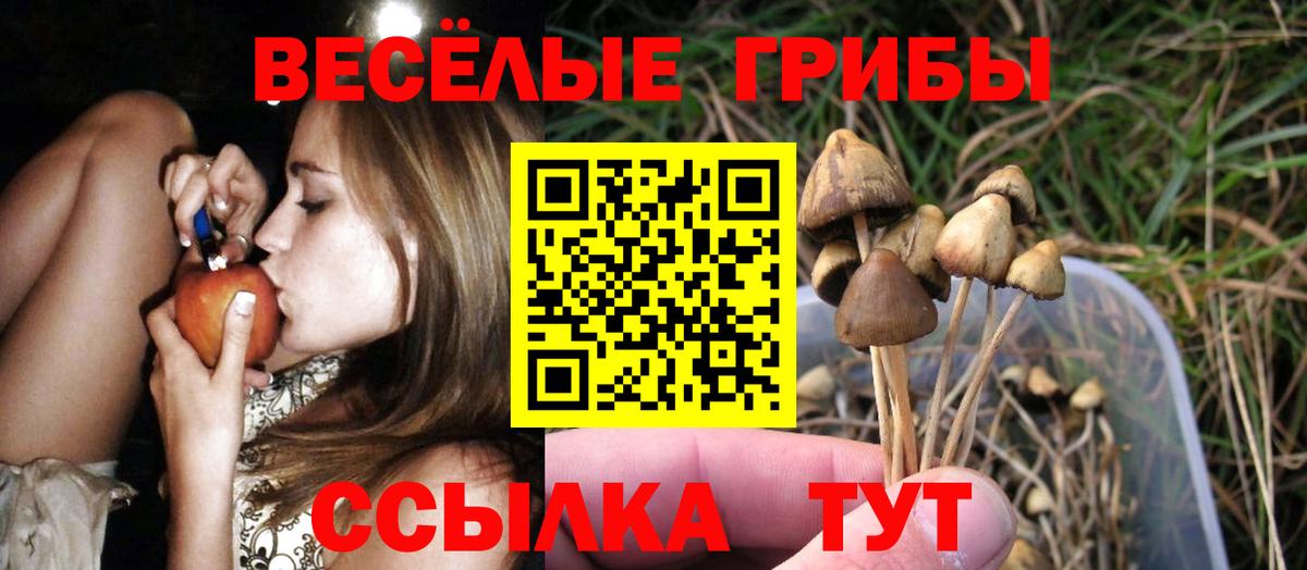 Галлюциногенные грибы Cubensis  Галлюциногенные грибы Cubensis  Черняховск  Вход с VPN 